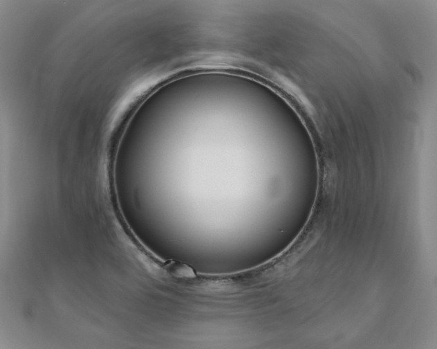 X0000110881464200906181215