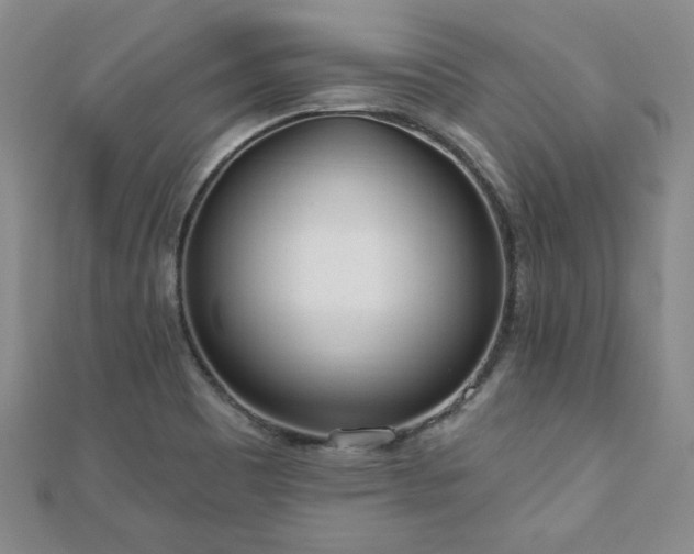 X0000110881465200906181215