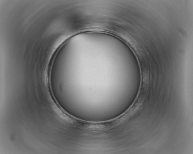 X0000110881466200906181215