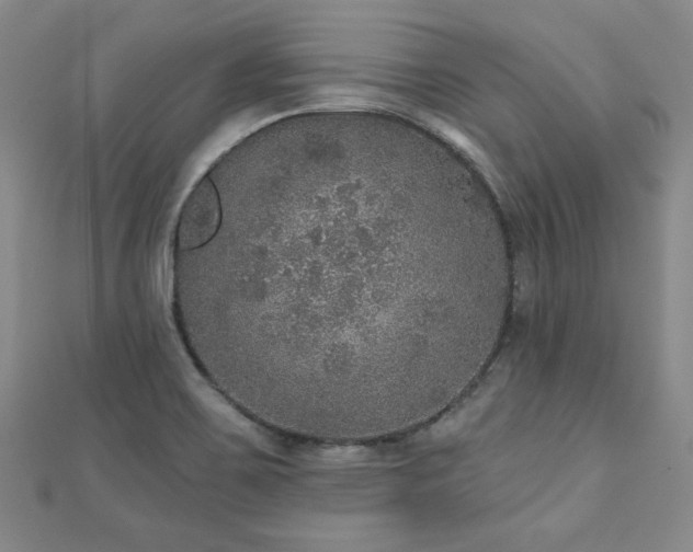 X0000110881467200906181215