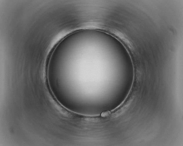 X0000110881469200906181215