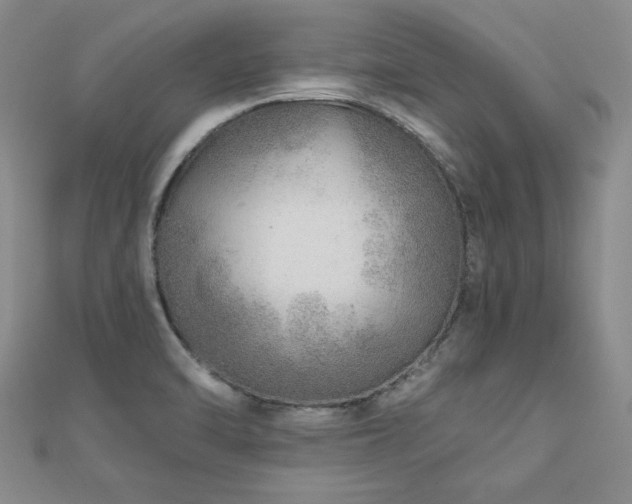 X0000110881470200906181215