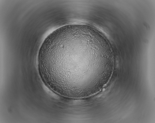 X0000110881471200906181215