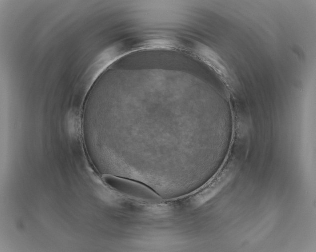 X0000110881473200906181215