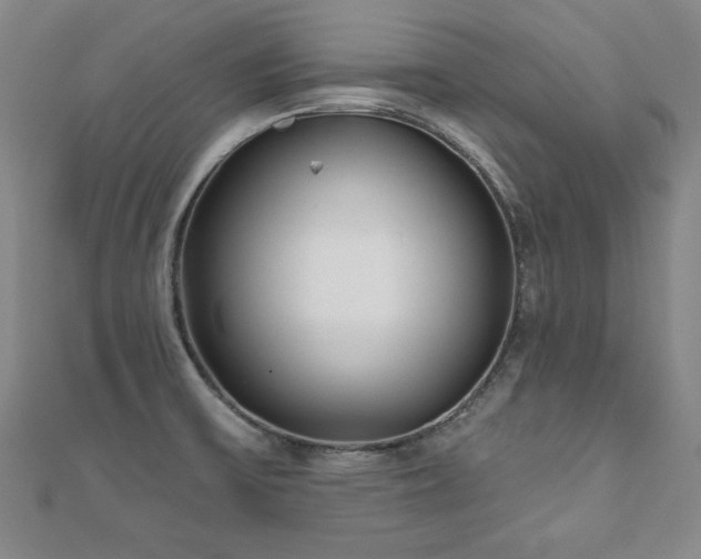 X0000110881475200906181215