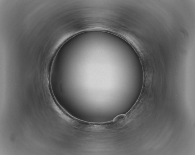 X0000110881476200906181215
