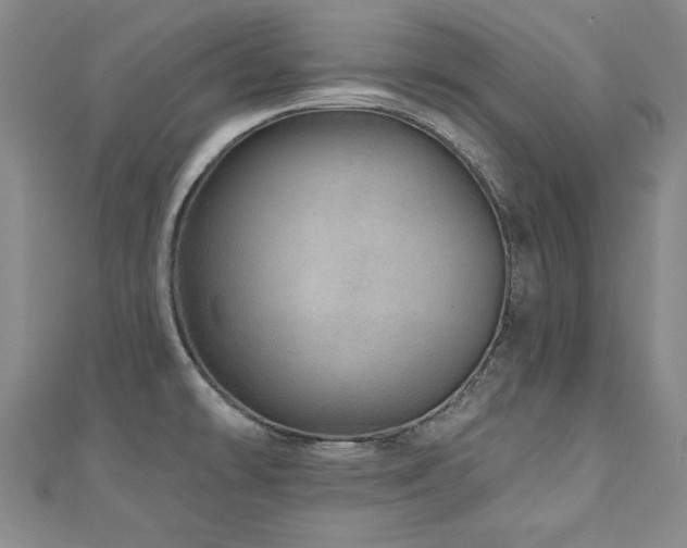 X0000110881478200906181215
