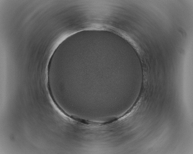 X0000110881479200906181215