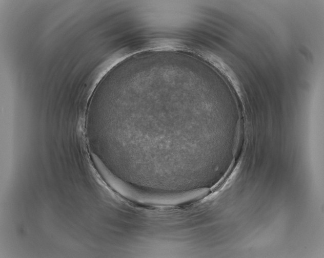 X0000110881481200906181215