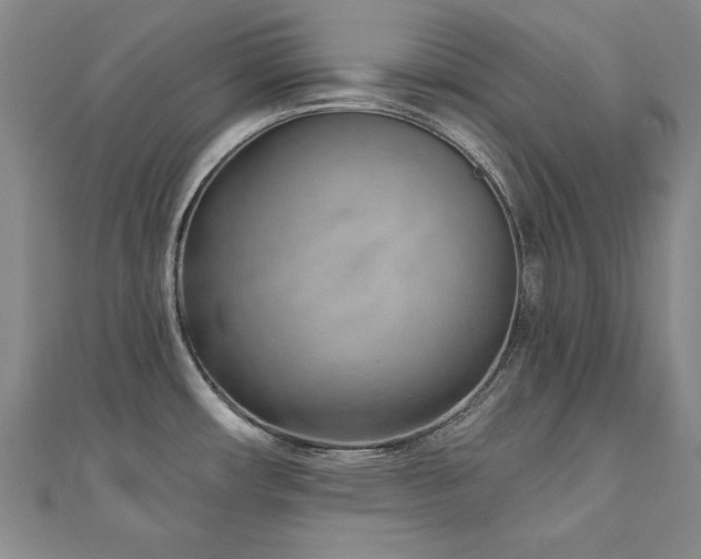 X0000110881482200906181215