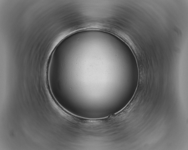 X0000110881483200906181215