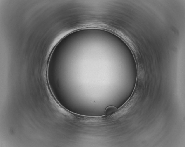X0000110881486200906181215