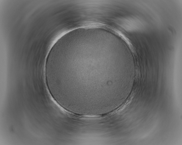 X0000110881487200906181215