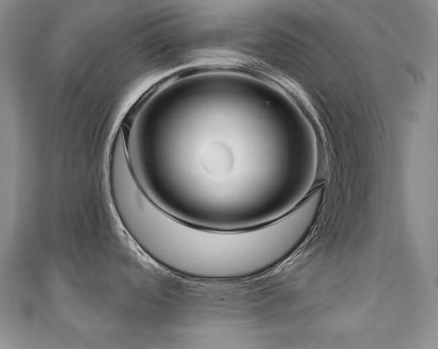 X0000110881488200906181215