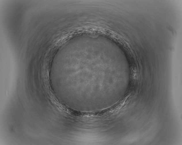 X0000110881489200906181214
