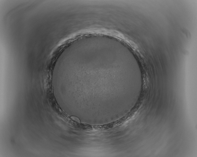 X0000110881494200906181214