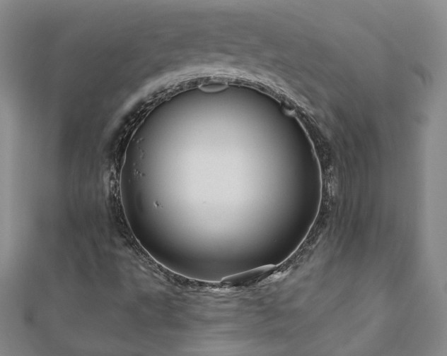 X0000110881495200906181214
