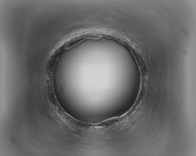 X0000110881496200906181214