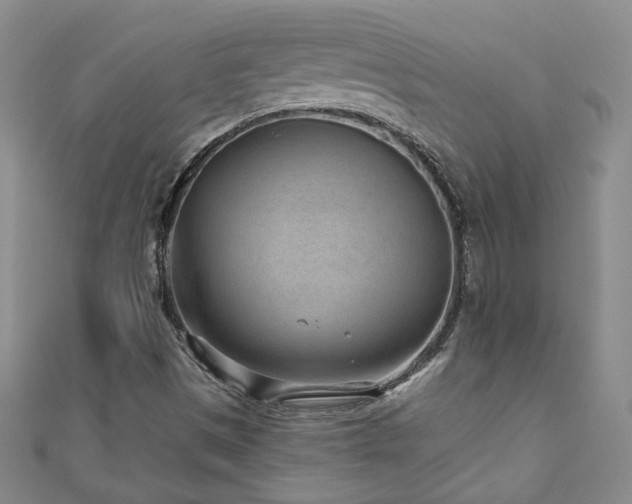 X0000110881497200906181214