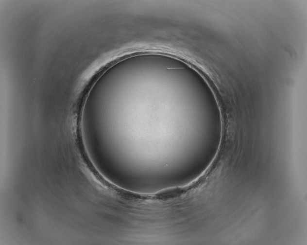 X0000110881503200906181214
