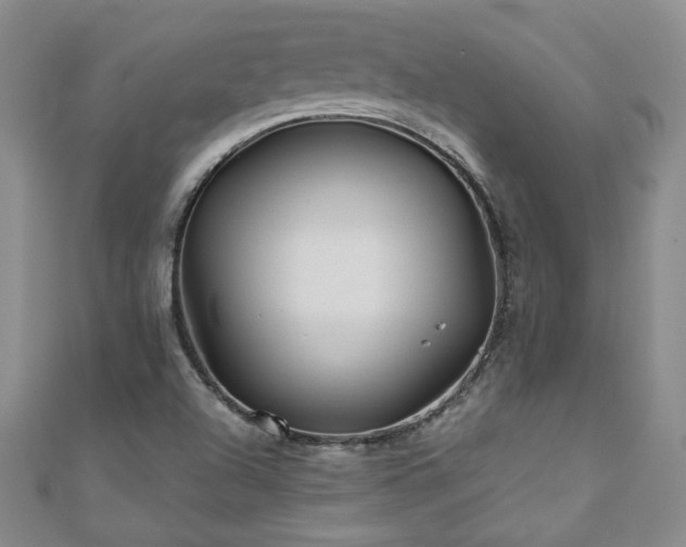 X0000110881504200906181214