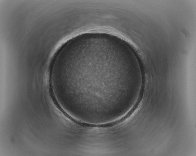X0000110881506200906181214