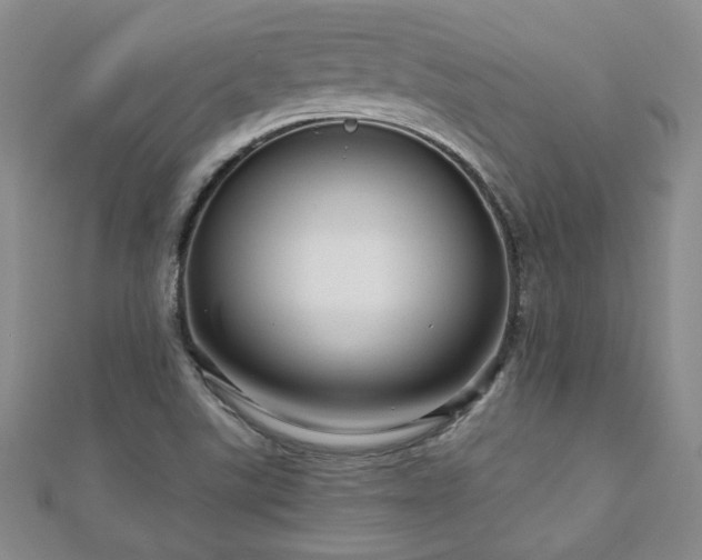 X0000110881507200906181214