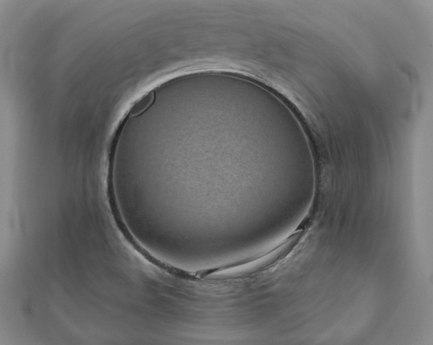 X0000110881508200906181214