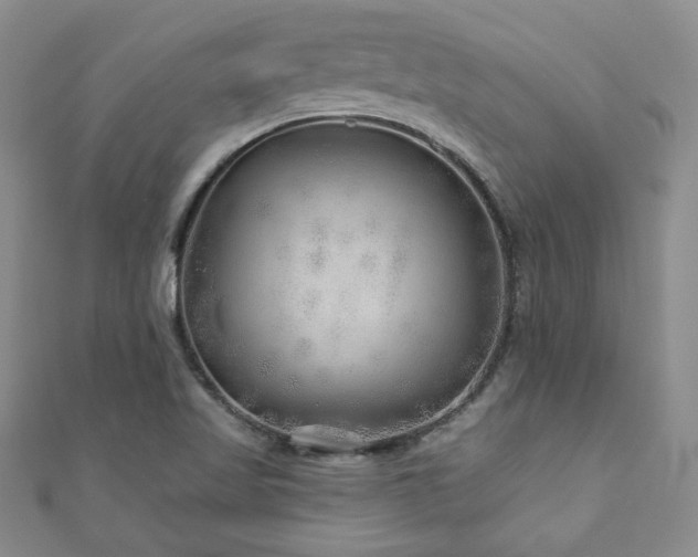 X0000110881509200906181214