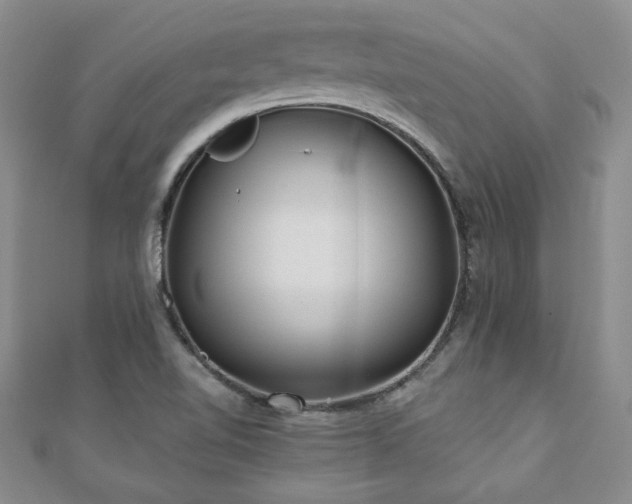 X0000110881510200906181214