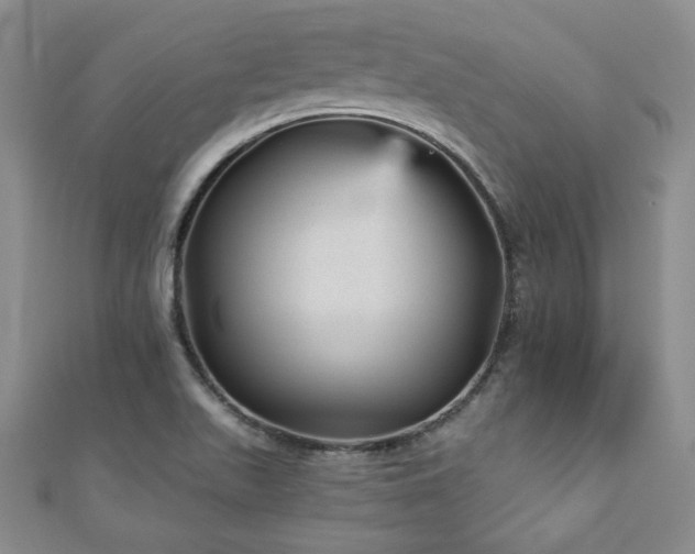 X0000110881511200906181214