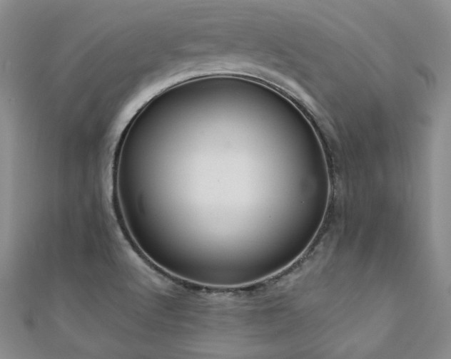 X0000110881512200906181214