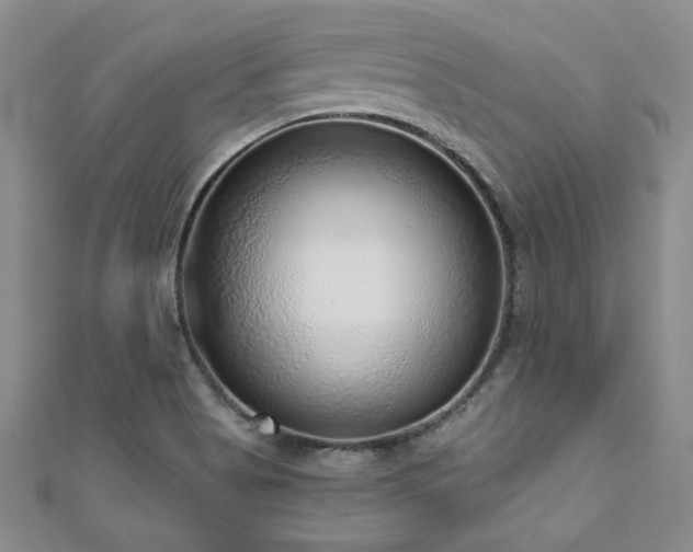 X0000110881513200906181215