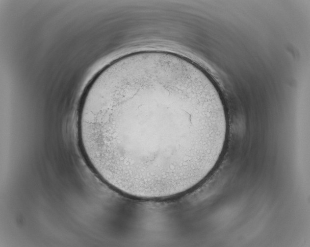 X0000110881514200906181215