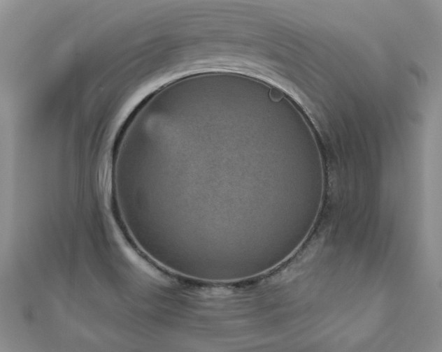 X0000110881515200906181215