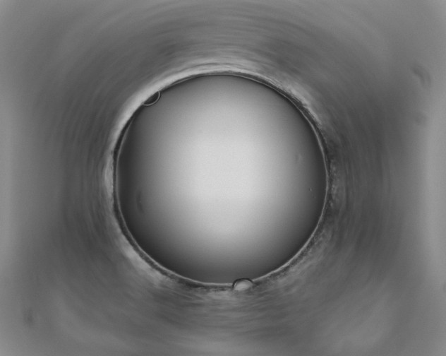 X0000110881516200906181215