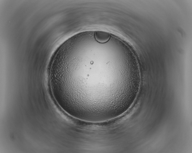 X0000110881517200906181215