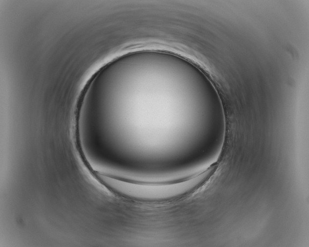 X0000110881518200906181215