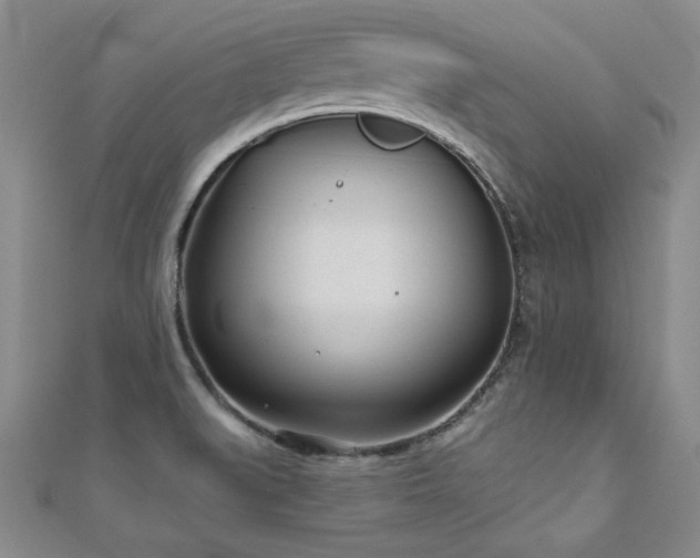 X0000110881519200906181215