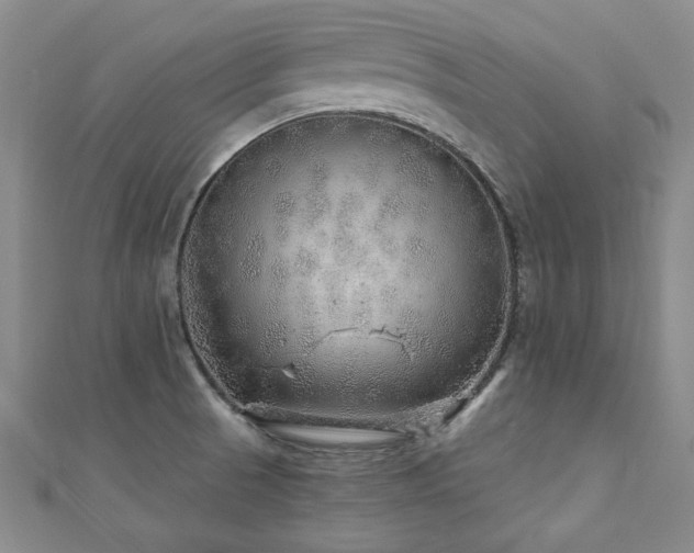 X0000110881521200906181215