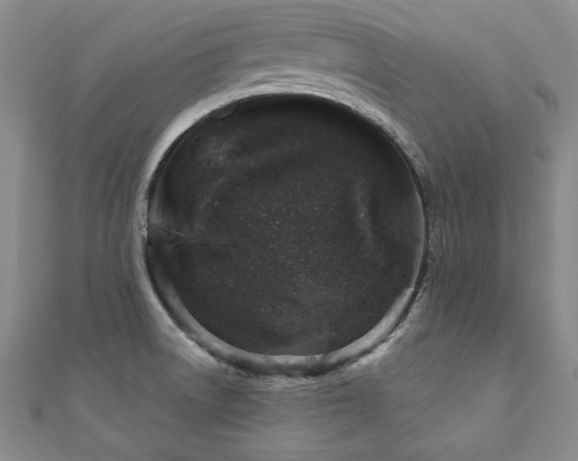 X0000110881522200906181215