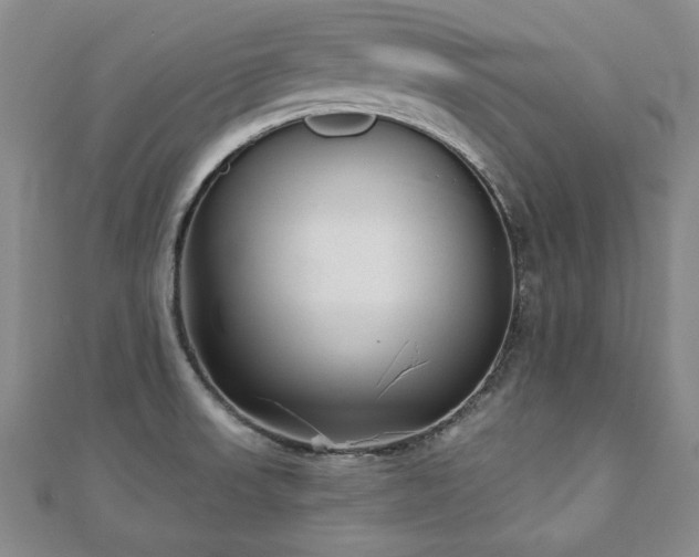 X0000110881523200906181215