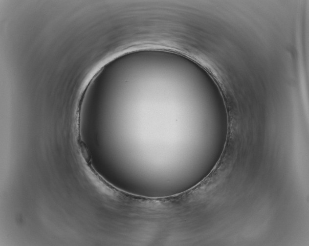 X0000110881524200906181215