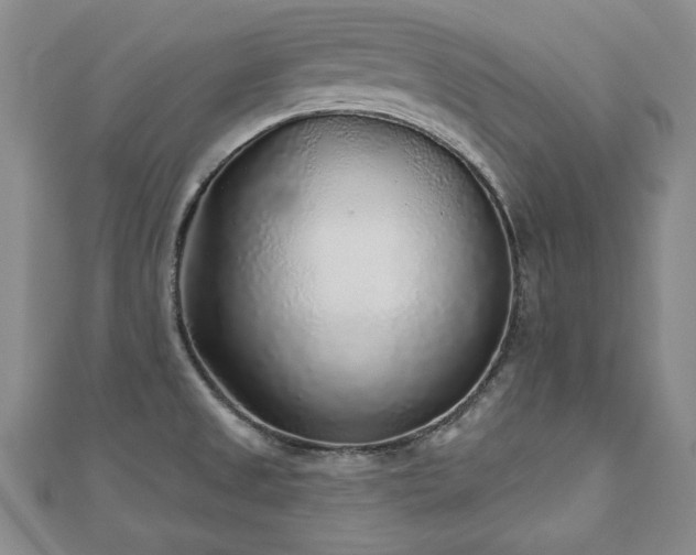 X0000110881525200906181215