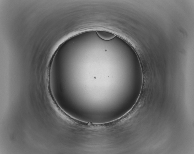 X0000110881526200906181215