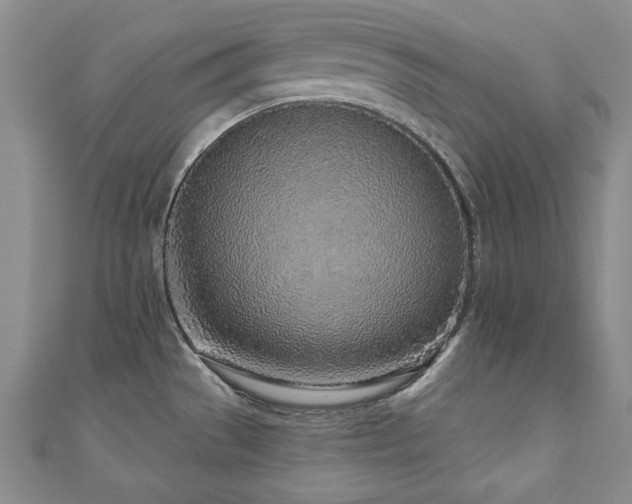 X0000110881529200906181215