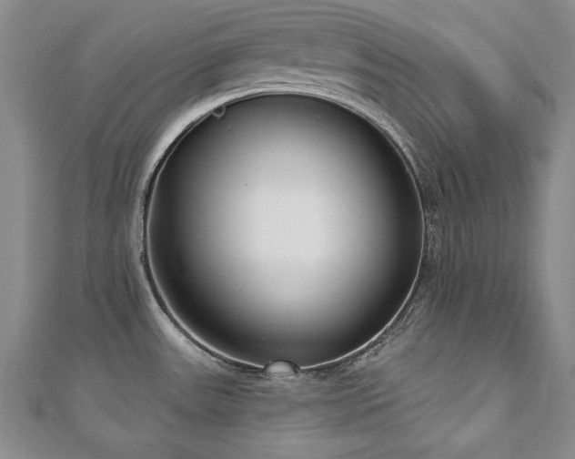 X0000110881531200906181215
