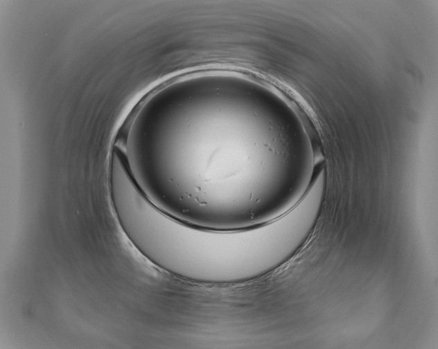 X0000110881532200906181215
