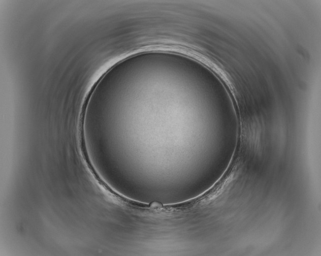X0000110881533200906181215