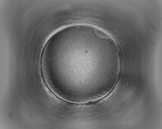 X0000110881534200906181215